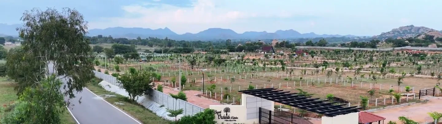 The entrance and farmland at Elegant Orchards