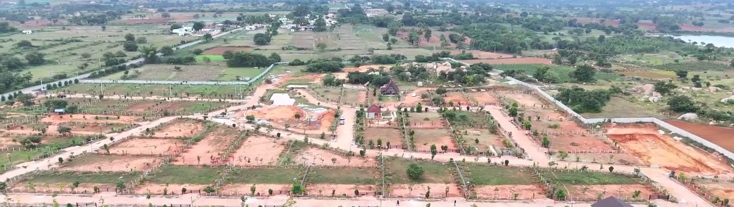 Farm plots, planted rows and paths viewed from above