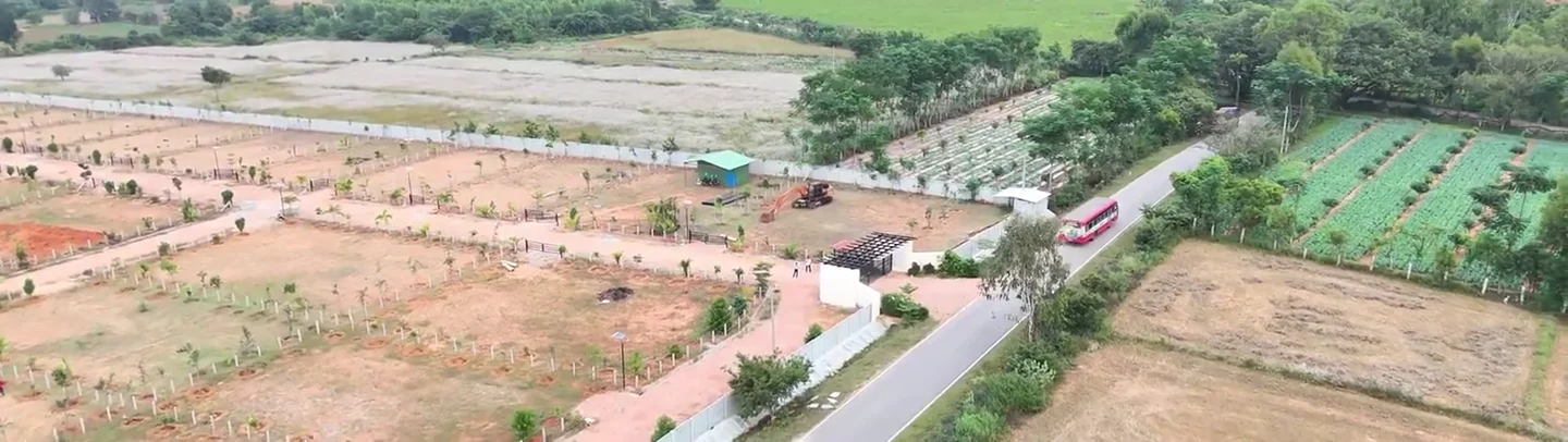 Farm plots and the estate access road